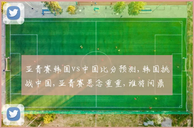 亚青赛韩国vs中国比分预测,韩国挑战中国,亚青赛悬念重重,谁将问鼎