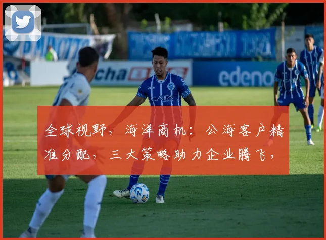 全球视野，海洋商机：公海客户精准分配，三大策略助力企业腾飞，洞察市场脉搏