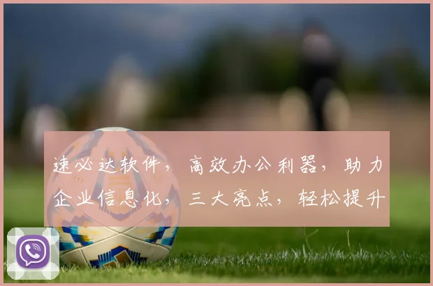 速必达软件，高效办公利器，助力企业信息化，三大亮点，轻松提升工作效率，值得信赖