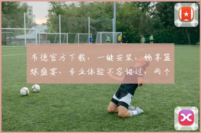 韦德官方下载，一键安装，畅享篮球盛宴，专业体验不容错过，两个版本任你选择