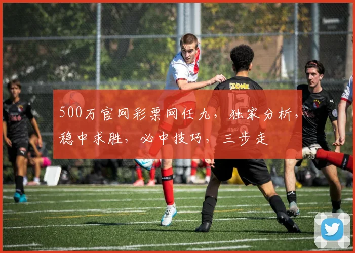 500万官网彩票网任九，独家分析，稳中求胜，必中技巧，三步走