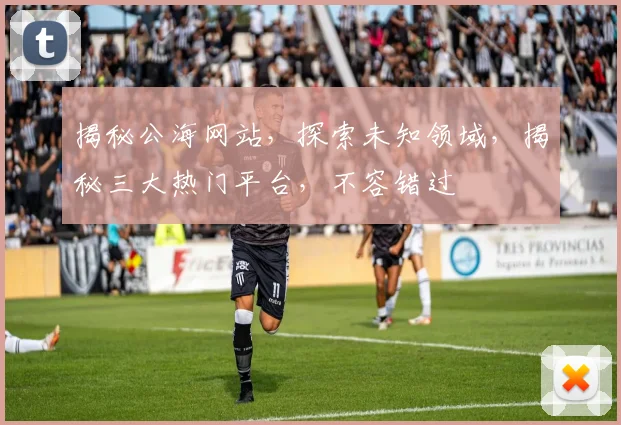 揭秘公海网站，探索未知领域，揭秘三大热门平台，不容错过