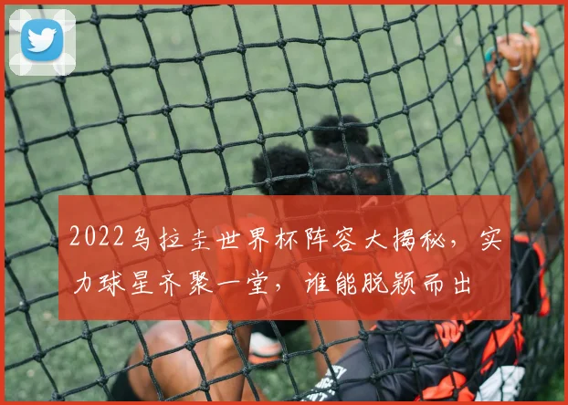 2022乌拉圭世界杯阵容大揭秘，实力球星齐聚一堂，谁能脱颖而出