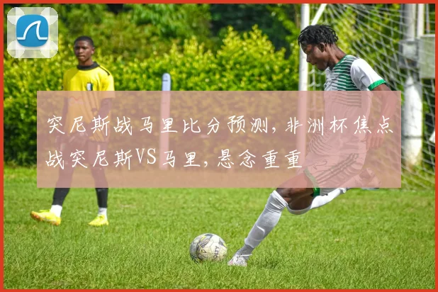 突尼斯战马里比分预测,非洲杯焦点战突尼斯VS马里,悬念重重