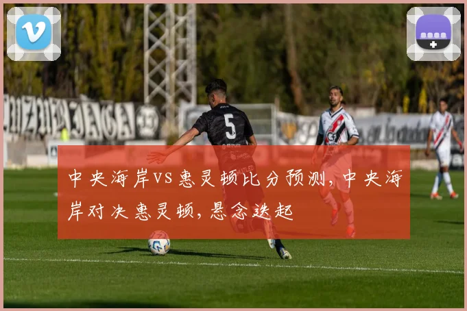 中央海岸vs惠灵顿比分预测,中央海岸对决惠灵顿,悬念迭起